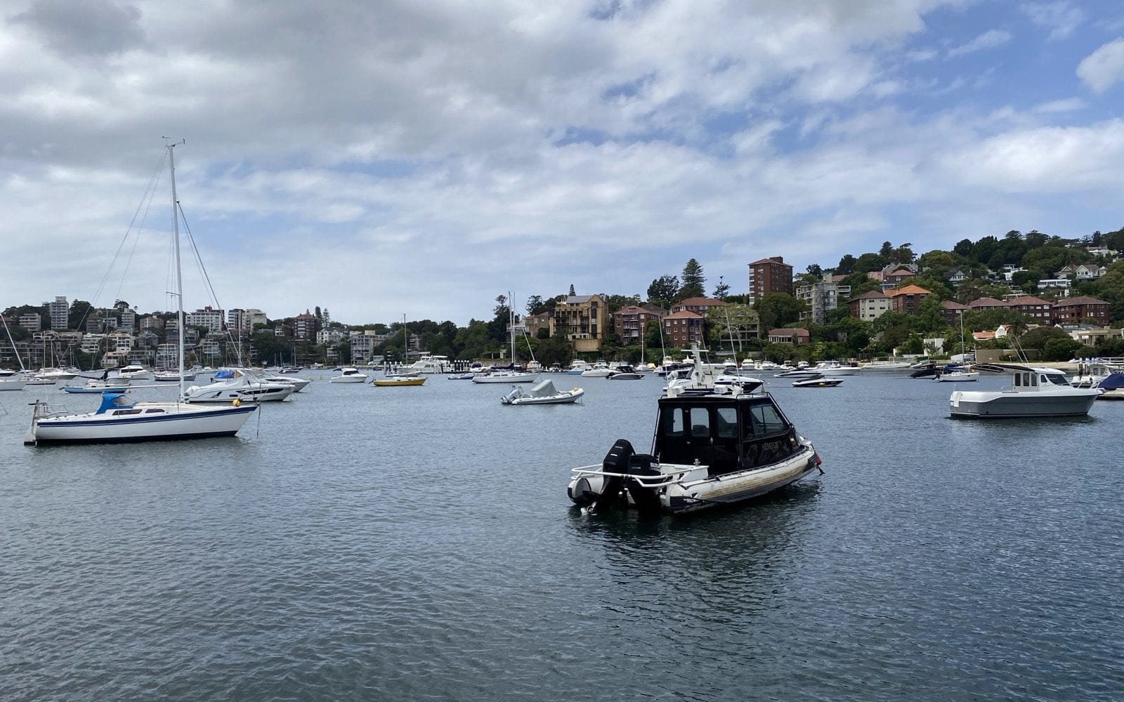 Moored yachts on Double Bay, the suburb's apartment buildings and gardens rising behind the shoreline.