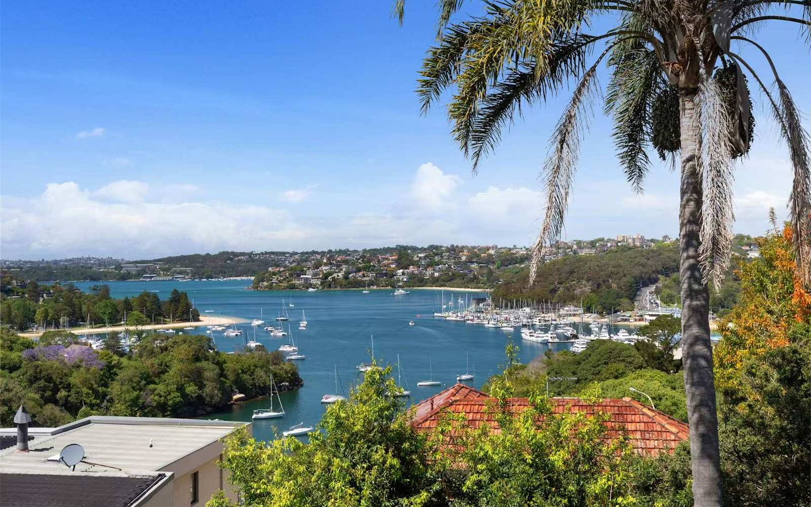 Middle Harbour from a MetaWise-managed six-bedroom home in Seaforth, boats on the water below the palms.